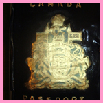 Special Occassion Artisan Cakes