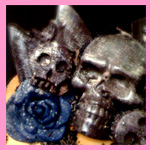 Chocolates - Vin Coco