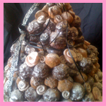 Seasonal Treats - Vic Coco